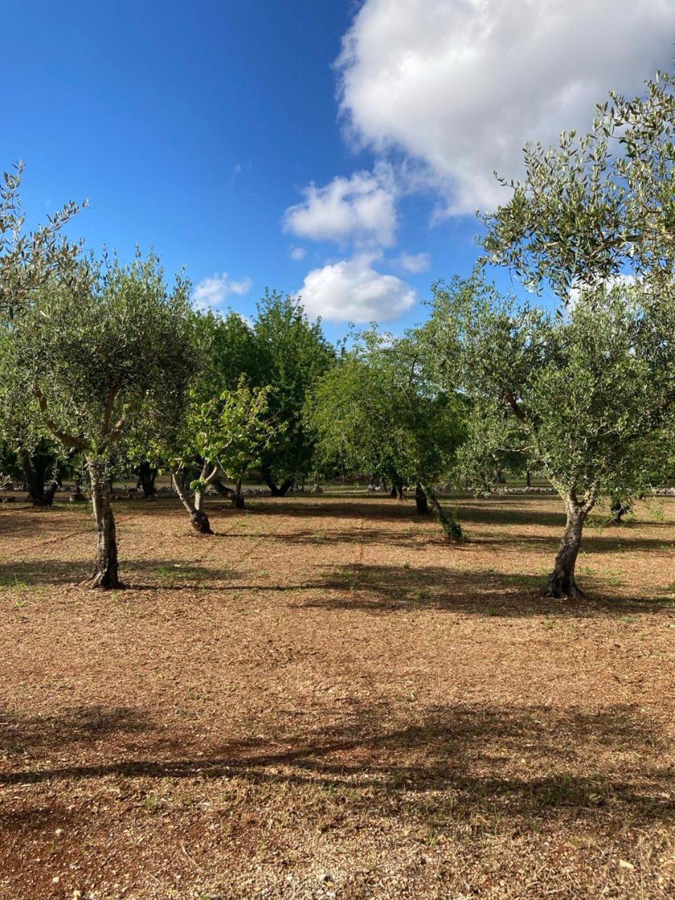 Antica Tenuta Dei Trulli By Qualitravel Alberobello Ngoại thất bức ảnh